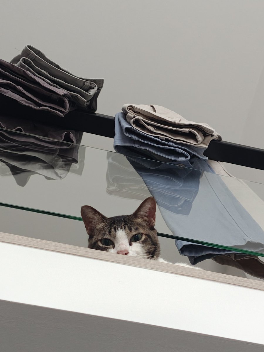 MarioRedPC's tweet image. 