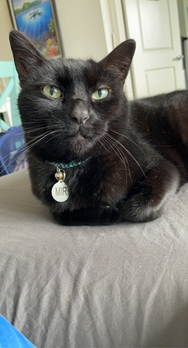 Amy 🐋 tweet media