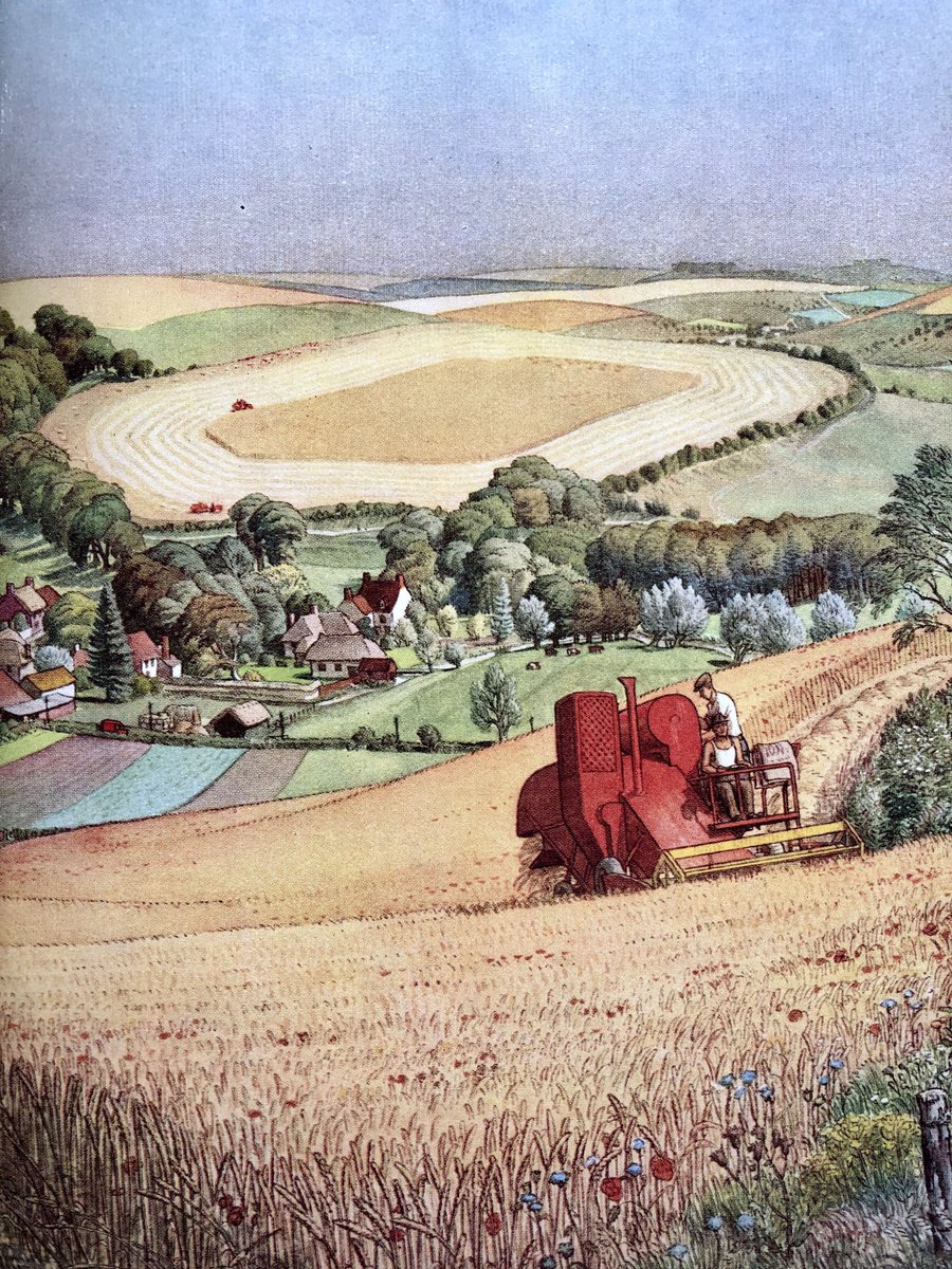 Other work by the Ladybird artists
‘Farm in Summer’ (1953)
Artist: SR Badmin