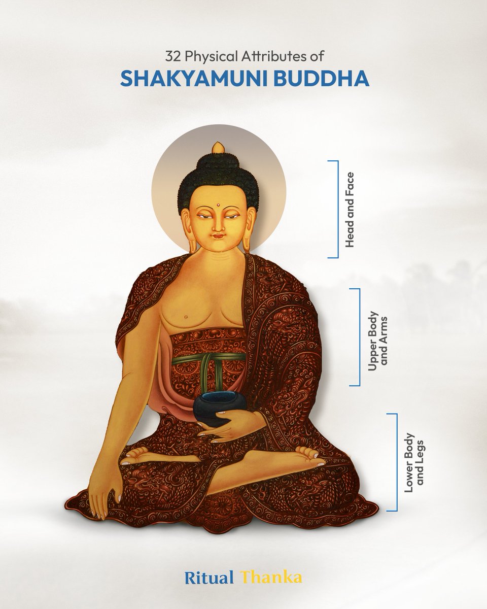 Ritualthanka's tweet photo. 🌟 Did you know? Shakyamuni Buddha has 32 unique physical attributes, each symbolizing wisdom, compassion, and spiritual perfection. 🙏

📖 Uncover all 32 attributes in this post – and share with your friends to spread the wisdom! 🌸

SKU: 10613MBShakyamuniBuddhaT

#ritualthanka https://t.co/DszXYKi1QK