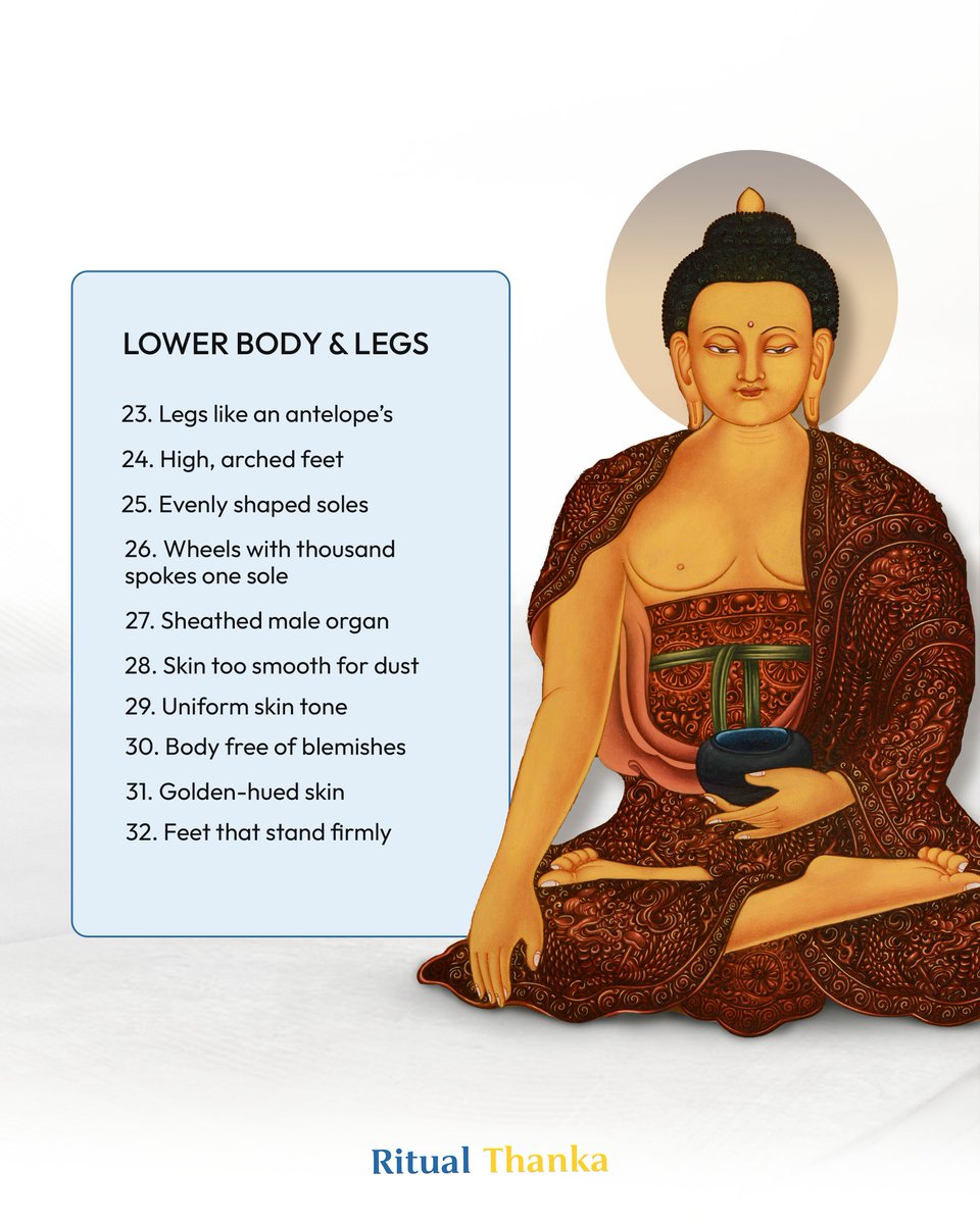 Ritualthanka's tweet photo. 🌟 Did you know? Shakyamuni Buddha has 32 unique physical attributes, each symbolizing wisdom, compassion, and spiritual perfection. 🙏

📖 Uncover all 32 attributes in this post – and share with your friends to spread the wisdom! 🌸

SKU: 10613MBShakyamuniBuddhaT

#ritualthanka https://t.co/DszXYKi1QK