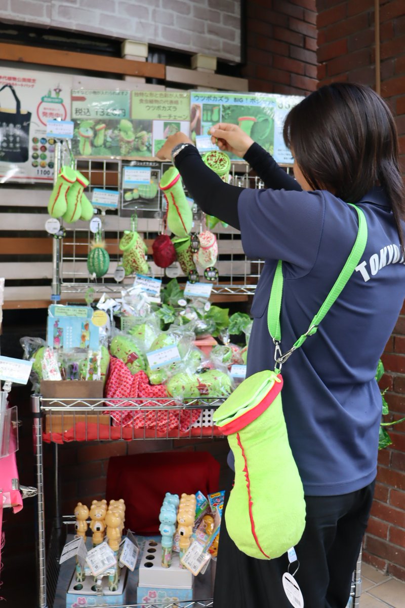 「ウツボカズラ Big ポシェット」を、
神代ガーデンビューローで販売中！
夏にはうれしい❢ペットボトルが入る
大人気の可愛いアイテムです♪
お土産にいかがですか?!（広報係）#ウツボカズラ