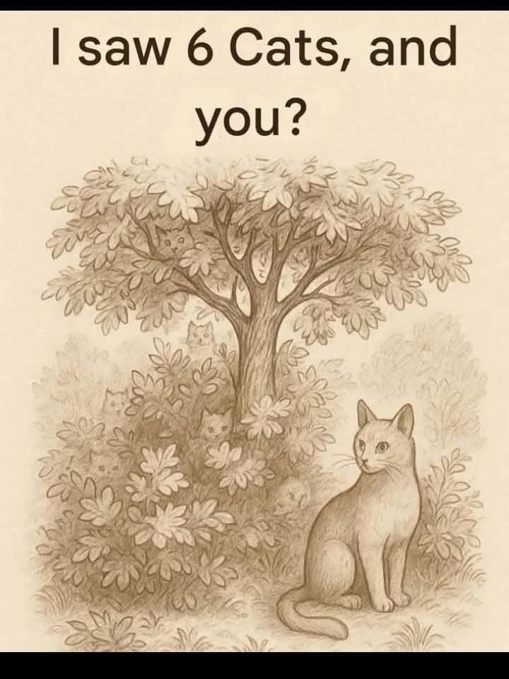 Mr H ❤❤ tweet media