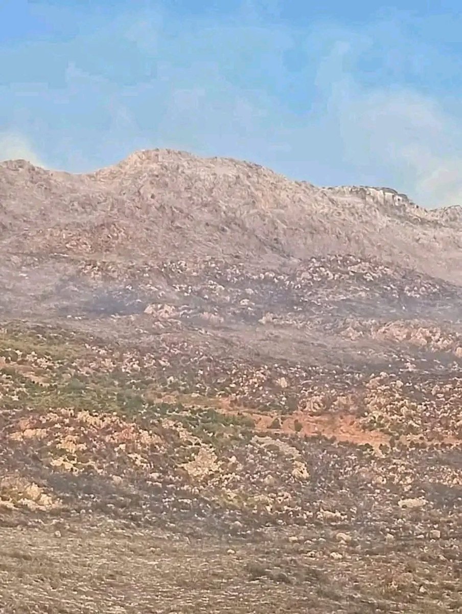 مشهد يدمي القلوب من جبال الغاب في موقع "أبو كليفون" بناحية عين الكروم صباح اليوم 14-8-2025 💔