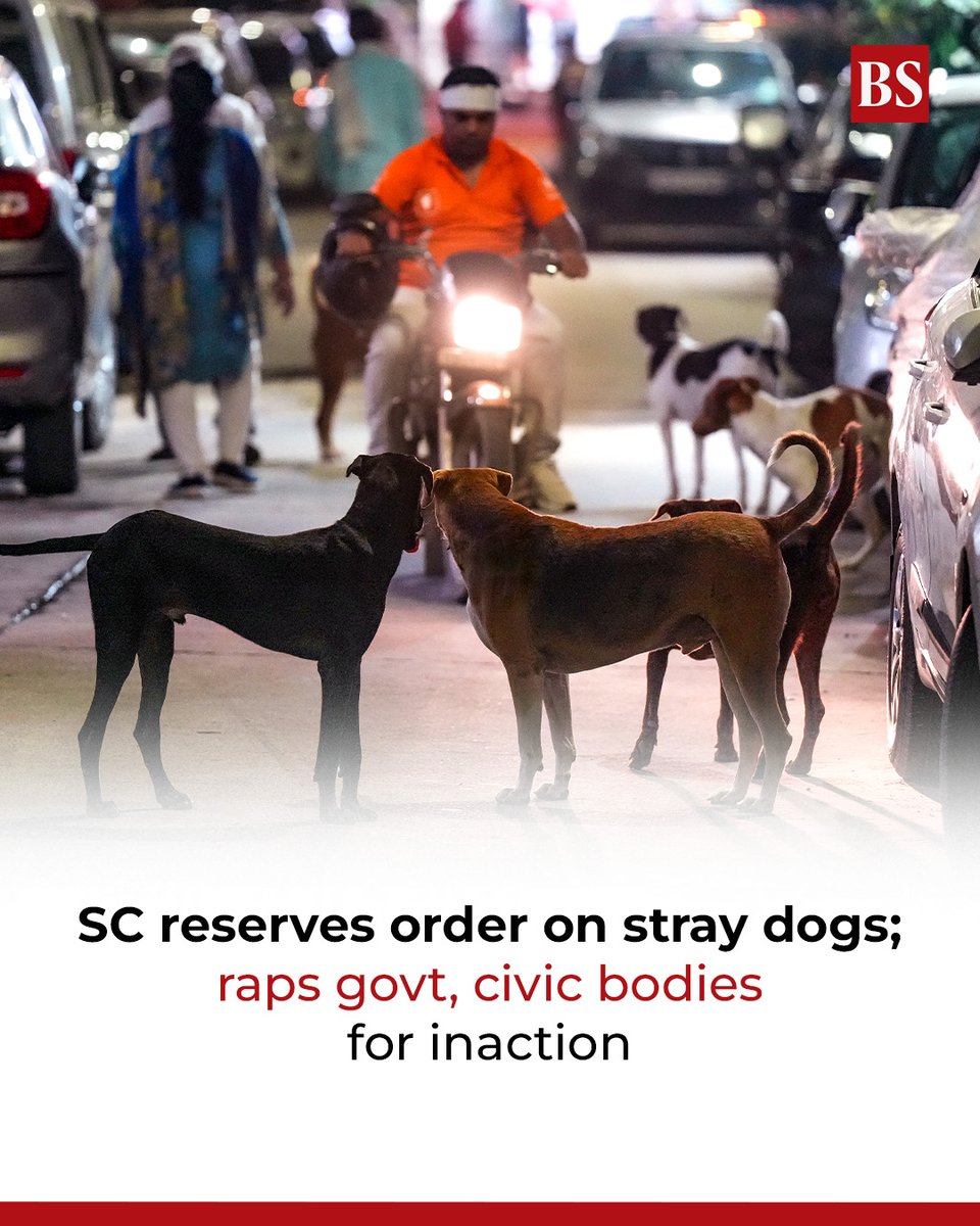 bsindia's tweet photo. SC criticises the government and civic bodies for inaction on Delhi-NCR's stray dog crisis; reserves its decision on pleas against its order to round up the animals.
#SupremeCourt #StrayDogs #DelhiNCR #delhistrays
https://t.co/bUn0AUUhvF https://t.co/OVa0FyNa1l