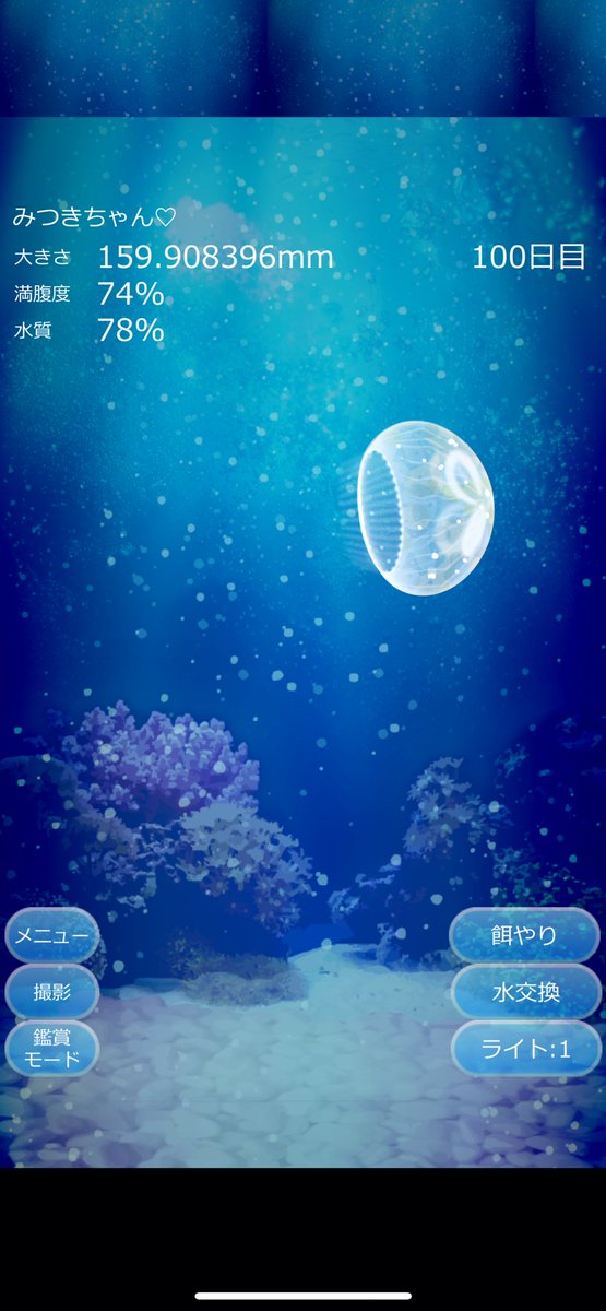 今日でみつき(くらげ)育てて100日が経ちました。
1日目と比べるとバチクソでかくなりました
これからもいっぱいごはんあげて、いつかは2m超えのクソデカみつきになろうな😁