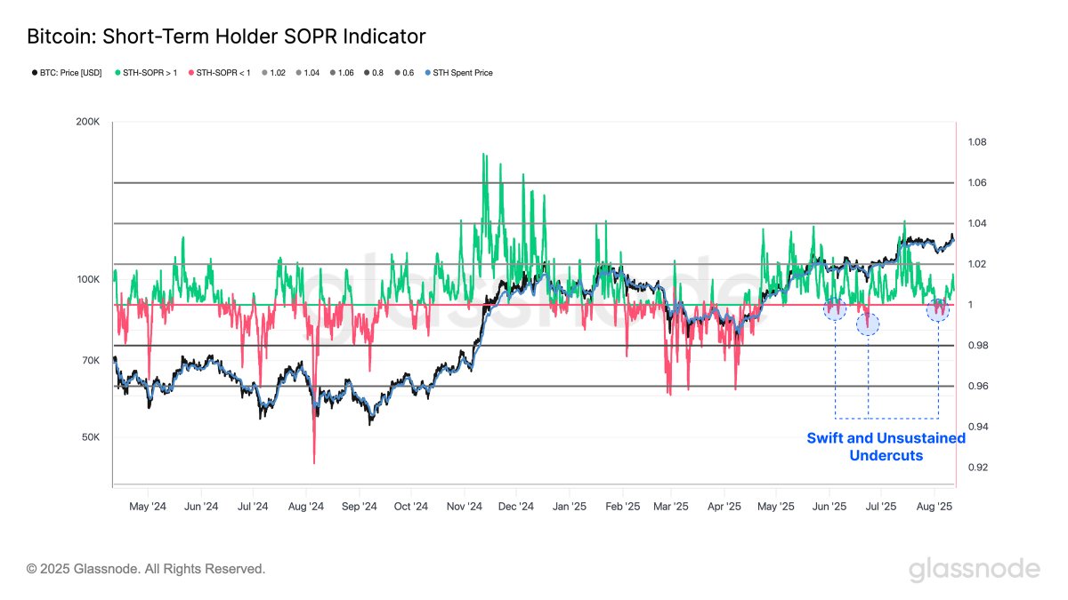 Short-Term Holder SOPR - a metric tracking whether newer investors sell at  a profit or loss - briefly dipped below neutral levels but quickly  recovered. This shows limited realized losses and suggests