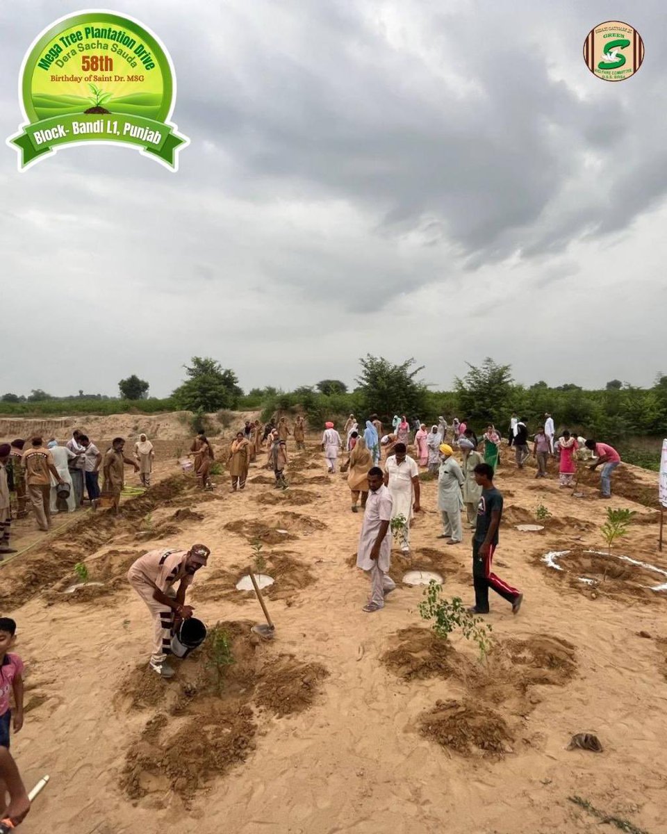 GreenSwelfares's tweet photo. Homes, villages, towns, cities and states - each smiled, as the seeds of a brighter future were sown with Mega Tree Plantation Drive.
Smiles on faces, hopes in hearts, millions planted trees, giving roots to a better future, free from the shadows of global warming.
#GoGreen #MSGBhandara #MegaTreePlantationDrive #Bandi #RamRahim