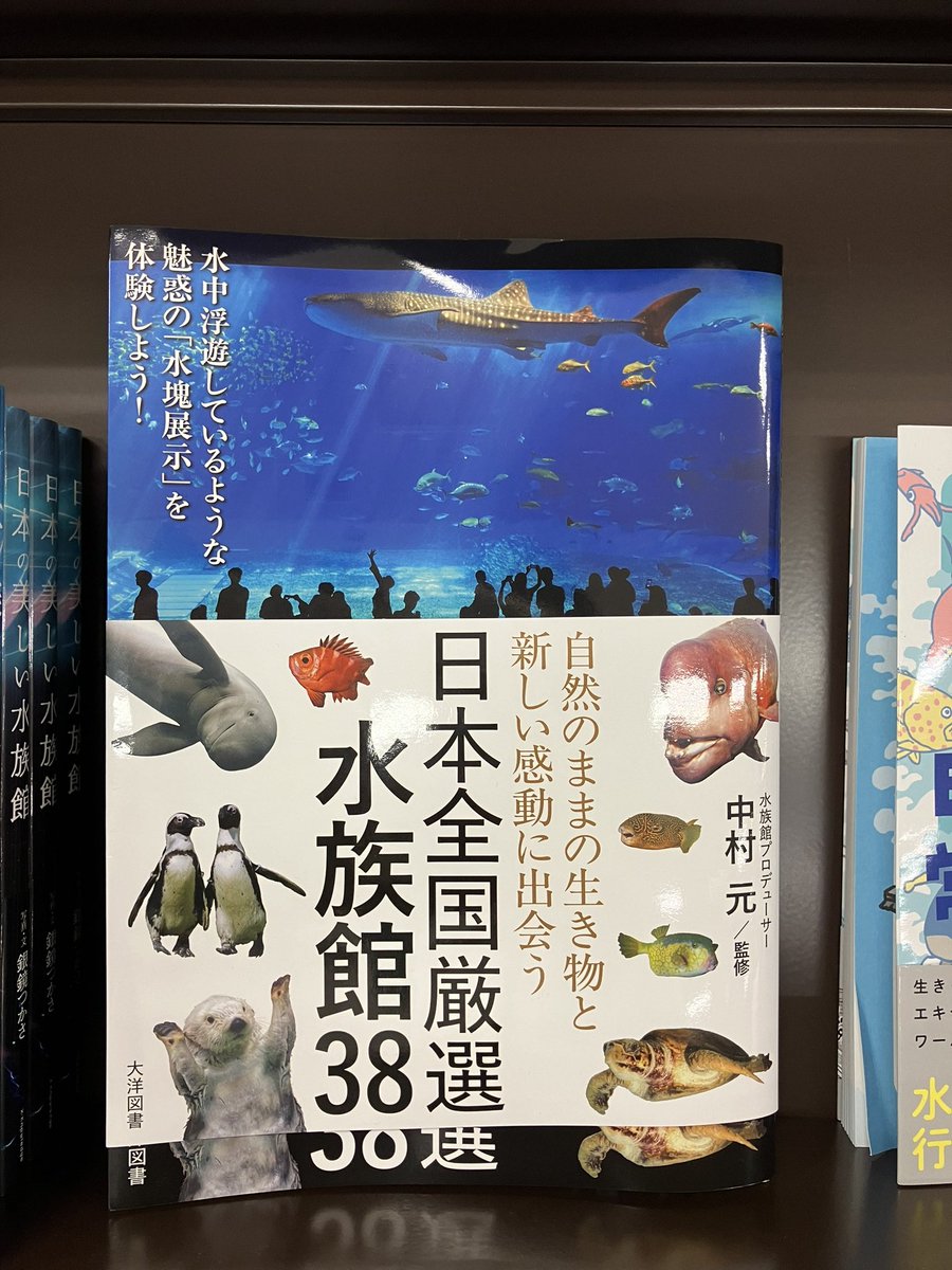 不貞の季節('99ワイ・エフ・シー/大洋図書/シネマジック) 不貞の季節('99ワイ・エフ・シー/大洋図書/シネマジック) - メルカリ