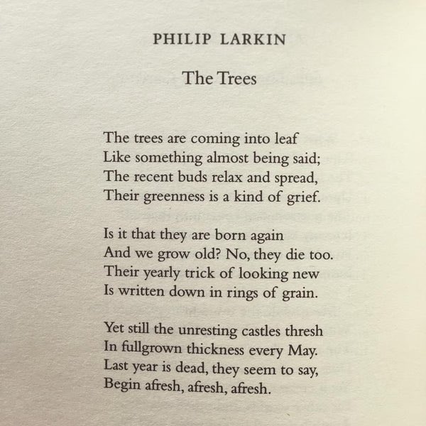 Miranda Holmqvist tweet media