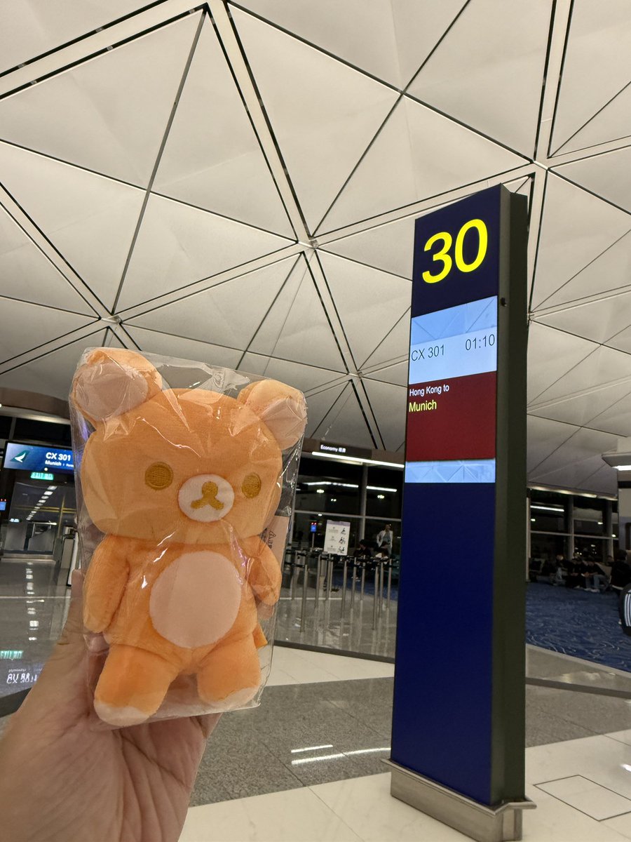 Helium69074771's tweet photo. ミュンヘンへ出発する準備をしています🐻🍊🍊🍊😊

#リラックマ

#20colors

#チャイロイコグマ

#リラックマストア店長 https://t.co/Oz5NjXefeQ
