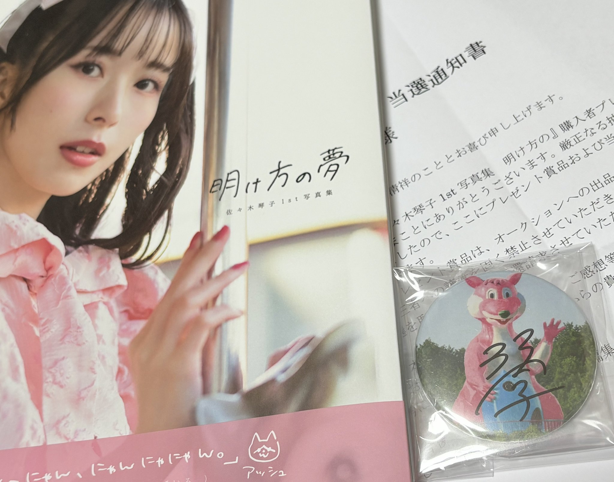佐々木琴子 ラブカ PE+ サイン PE 佐々木琴子さん 夕霧綴理 ラブカ PE、PE+セット サイン - メルカリ