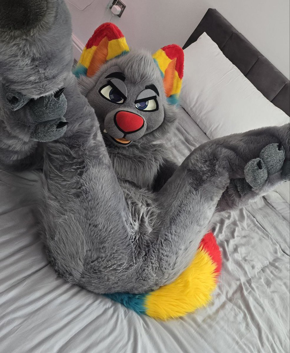 (📸: <a href="/InfinityFloof/">Infinity</a>)