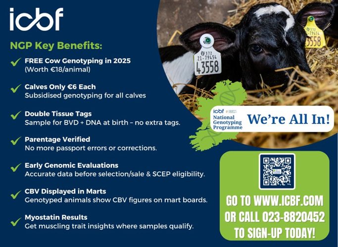 DairyIndustryIE's tweet photo. As a founder of the National Genomic Program @DairyIndustryIE encourages farmers of all types to join a scheme which is a ‘no brainer’ for our future, profitability &amp; our animals.

#WereAllIn https://t.co/ZYDwSa78G8