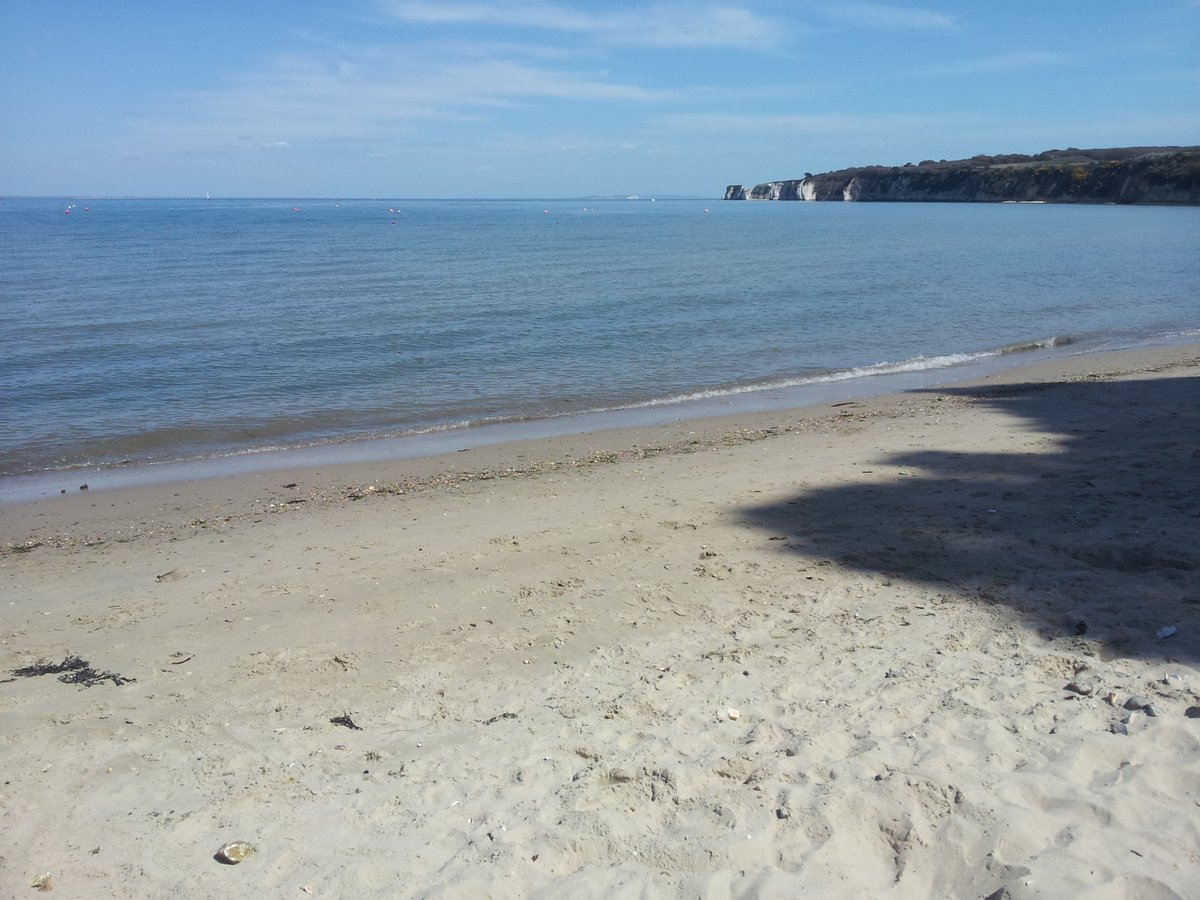 manonabeach's tweet image. What the #beach means at #Studland Bay on #Purbeck in #Dorset, with @theprioryhotel - manonabeach.com/dorset/studlan…