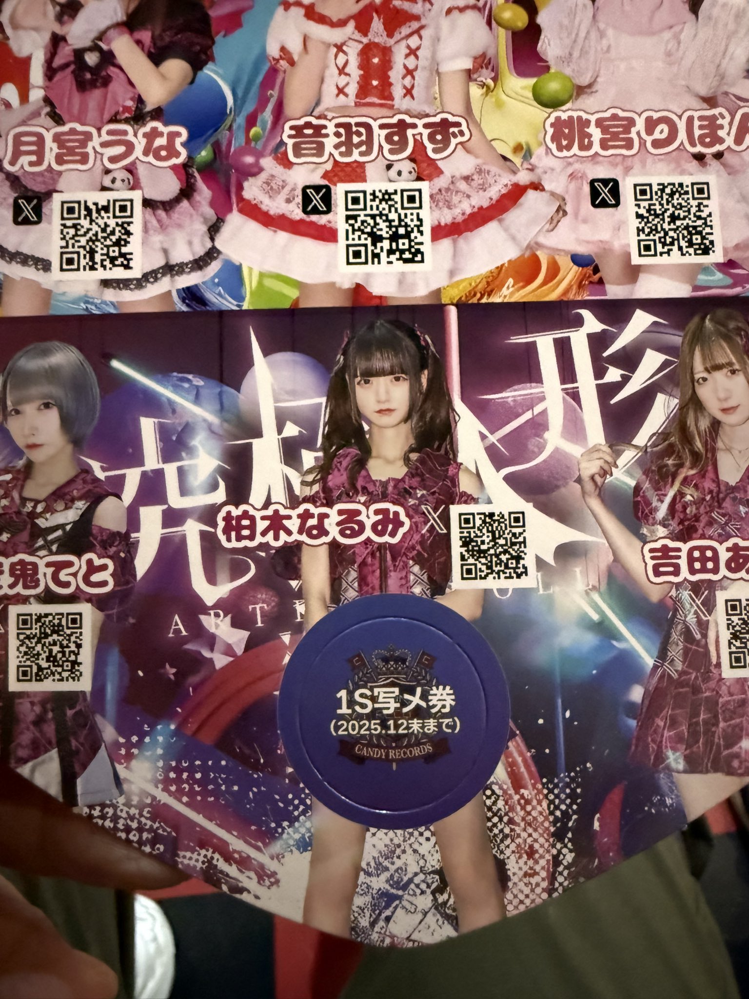 パルうさbot(公式) on X: 