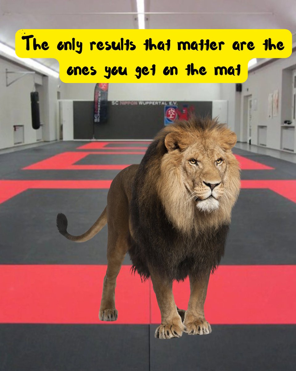 APBJJ's tweet photo. It's A-levels Results Day. This is a friendly reminder that the only results that matter are the ones you get on the mats 😤. Lions🦁sharpen Lions 🦁. See you on the mats tonight.

Tonight's class is free for teenagers whatever results you got 👊👊

#alevels2025 #ALevelResultsDay #ALevels, #ASLevels #BTEC