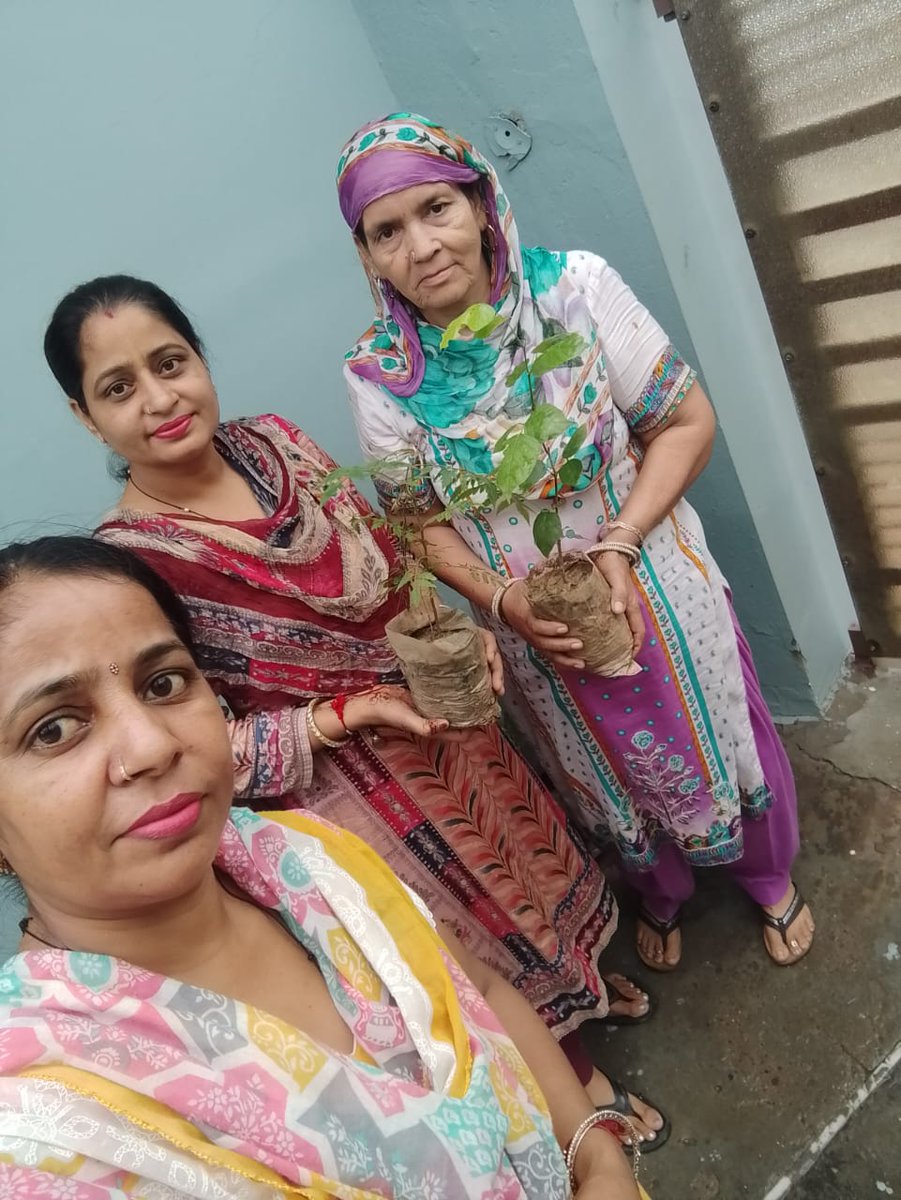 manishadhiman19's tweet photo. Every year volunteers of Dera Sacha Sauda planted trees to celebrate the incarnation day of Saint MSG. This tree plantation campaign is not only a birthday gift to Saint MSG but also a gift to nature even. #MyGiftToMSG  
#GoGreen https://t.co/55wbe4Bob7