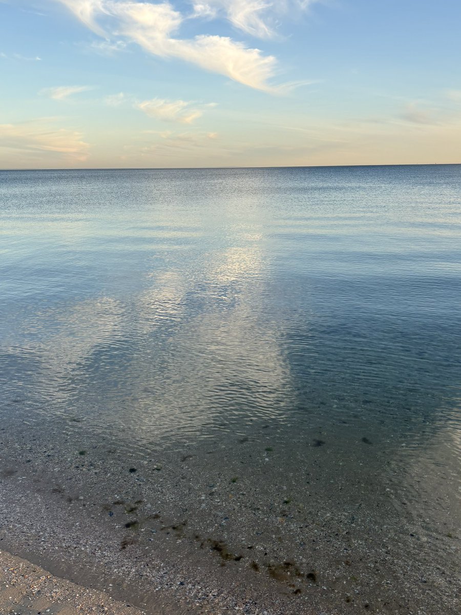 MiltonFriedom5's tweet photo. 5:20 de la tarde luego de una jornada juntando kiwis con el culo mirando el atardecer en la playa. 
Mientras vos a las 5:20 de la tarde ves el atardecer en la parada del 148 en Constitución tratando de llegar a las 8PM a F Varela pensando que vivís en el mejor país del mundo. https://t.co/yQ0McxpHhp
