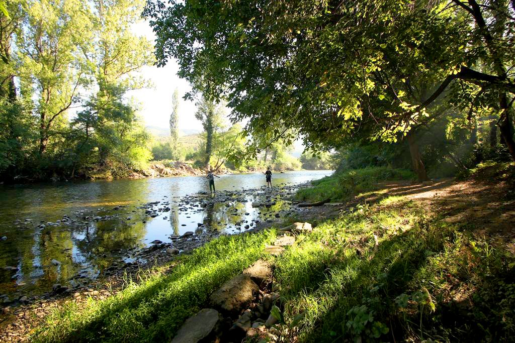 Предлози до идниот градоначалник на Скопје / 6: Ревитализација на градските реки

Кејот на реката Вардар во нашиот главен град има само два скејт парка, еден аудиториум на отворено, неколку игралишта и нула дрвја. 

Продолжете со читање >>> marh.mk/predlozi-do-id…