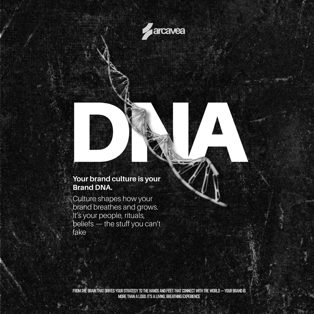 Brand culture is your DNA — people, rituals, and beliefs that shape how your brand grows.
You can’t fake it.
#BrandAnatomy #BrandCulture