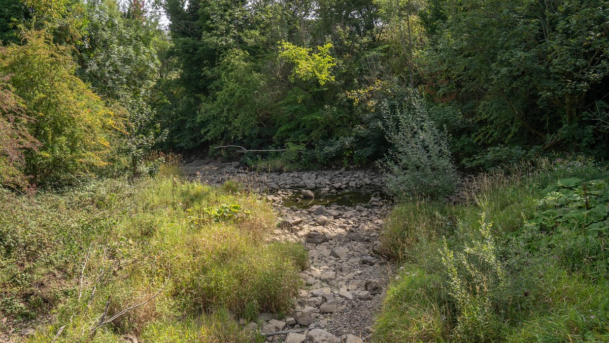 Cliff Salt tweet media