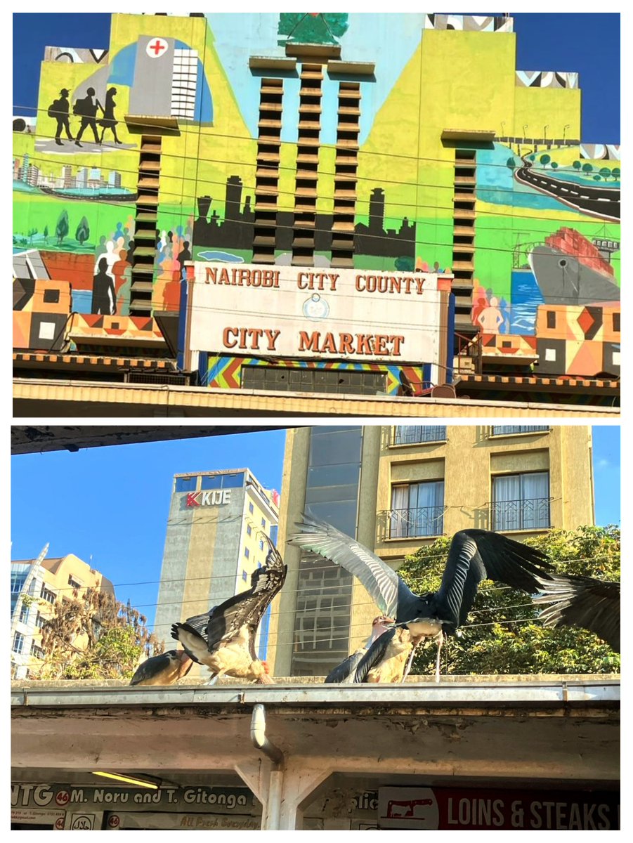Mazingira Institute (@mazinstitute) on Twitter photo A warm welcome at Nairobi’s 🇰🇪iconic City Market!
The Montreal team🇨🇦 toured City Market & met with the market administration, discovering livestock products, artifacts, flowers & unique souvenirs that tell Nairobi’s vibrant market story.
Supported by <a href="/CanadaDev/">Development Canada</a> <a href="/RooftopsCanada/">Rooftops Canada/Abri</a> A warm welcome at Nairobi’s 🇰🇪iconic City Market!
The Montreal team🇨🇦 toured City Market & met with the market administration, discovering livestock products, artifacts, flowers & unique souvenirs that tell Nairobi’s vibrant market story.
Supported by <a href="/CanadaDev/">Development Canada</a> <a href="/RooftopsCanada/">Rooftops Canada/Abri</a>