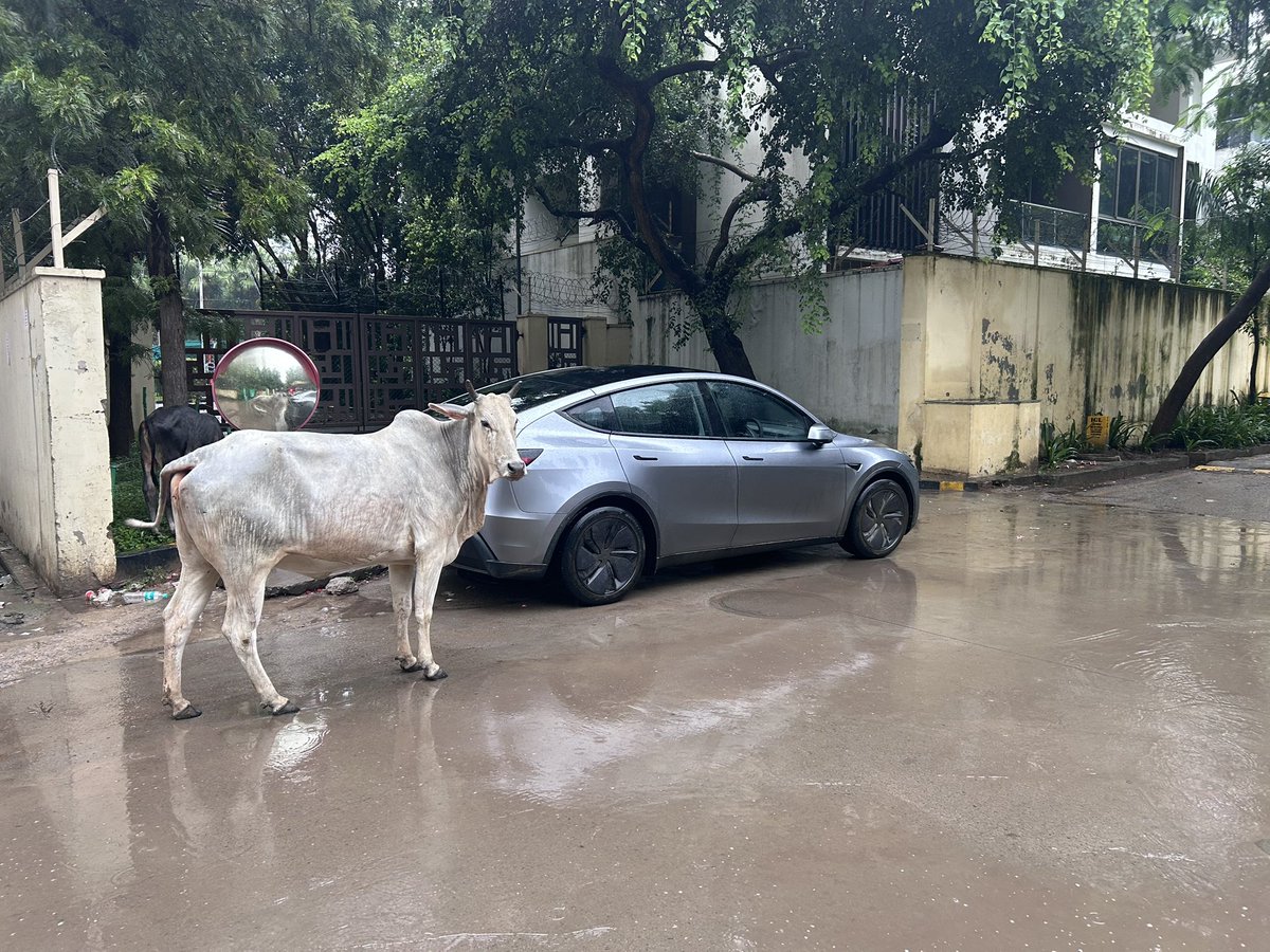 Mathew Koshy tweet media