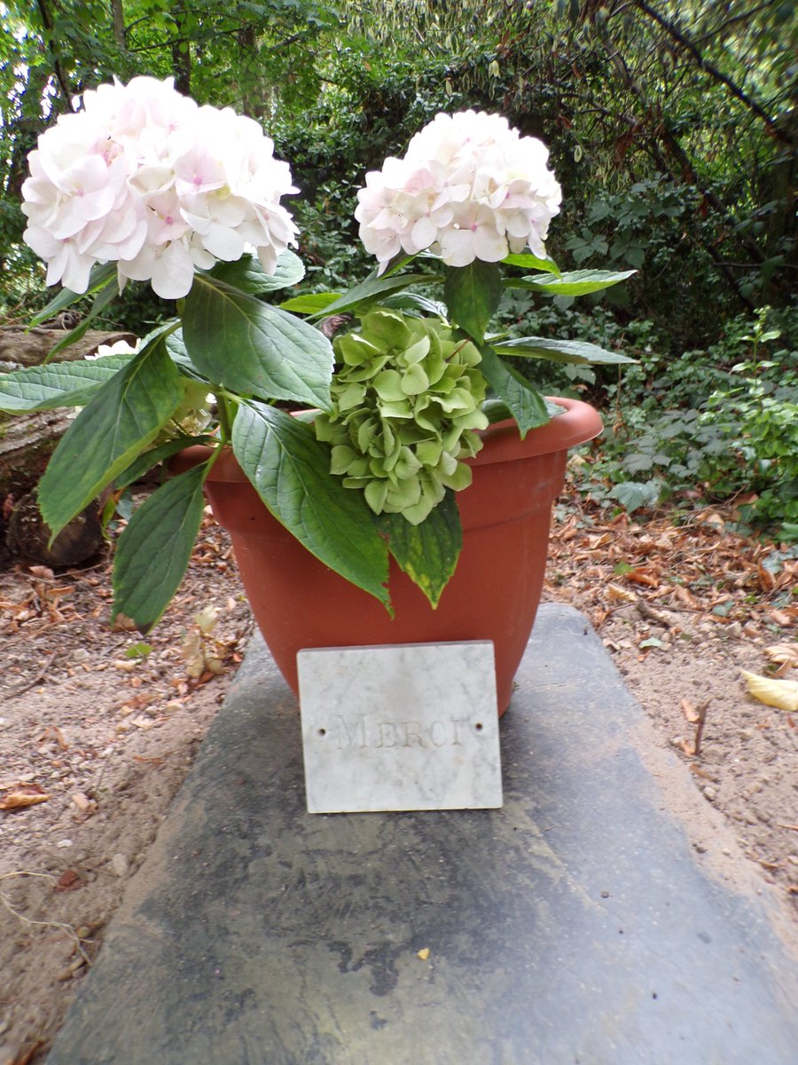 Marie de Jonzac tweet media