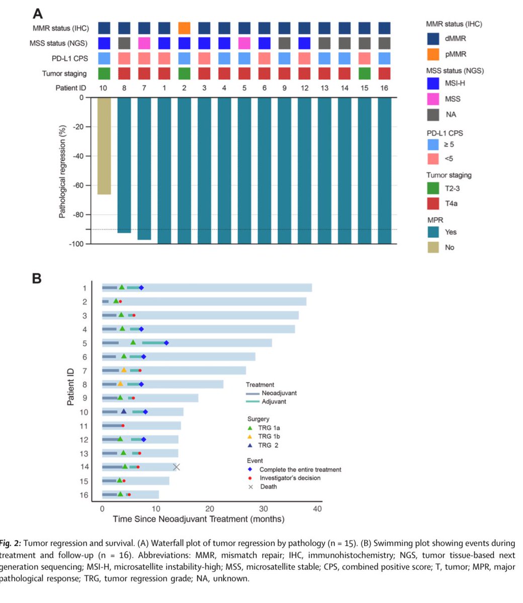 Erman Akkus (@erman_akkus) on Twitter photo 🟠Perioperativd toripalimab plus CapeOX for MSI-H GC/EGJC
NICE <a href="/eClinicalMed/">eClinicalMedicine – The Lancet Discovery Science</a>
➡️cT3–4aNxM0 or cT2N + M0
➡️4x-Surgery-4x
➡️16 patients
✅pCR: 80%
✅MPR: 93.3%
👉thelancet.com/journals/eclin…
#cancer #oncology #gastric #MedX <a href="/OncoAlert/">OncoAlert</a> <a href="/DraMartinezLago/">Nieves Martinez Lago MD PhD</a> <a href="/EduardoTB94/">Eduardo Terán</a> 🟠Perioperativd toripalimab plus CapeOX for MSI-H GC/EGJC
NICE <a href="/eClinicalMed/">eClinicalMedicine – The Lancet Discovery Science</a>
➡️cT3–4aNxM0 or cT2N + M0
➡️4x-Surgery-4x
➡️16 patients
✅pCR: 80%
✅MPR: 93.3%
👉thelancet.com/journals/eclin…
#cancer #oncology #gastric #MedX <a href="/OncoAlert/">OncoAlert</a> <a href="/DraMartinezLago/">Nieves Martinez Lago MD PhD</a> <a href="/EduardoTB94/">Eduardo Terán</a>