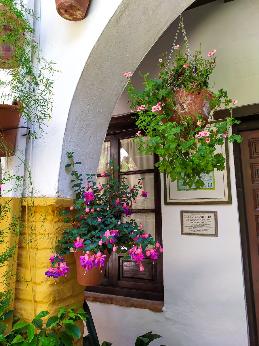 MariadelAmorRM's tweet photo. Patios de Córdoba.
📸 Archivo. https://t.co/u03wSDVgvU