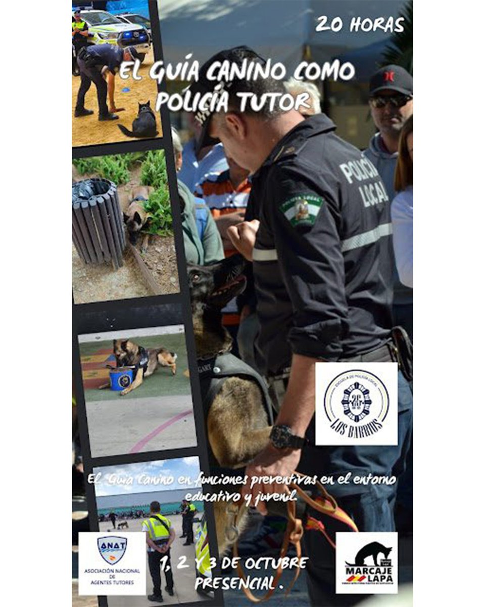 Jornadas formativas sobre “El Guía Canino como Policía Tutor”
👇👇
segucitydigital.com/un-poco-de-tod…