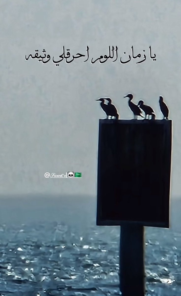 #الخميس_الونيسᅠ𓃵 .

يارب دروب خضراء يسقيها ودّك 
وخُطى مسدّدة بعونك ، وحياة هانئة يحفّها رضاك..

..