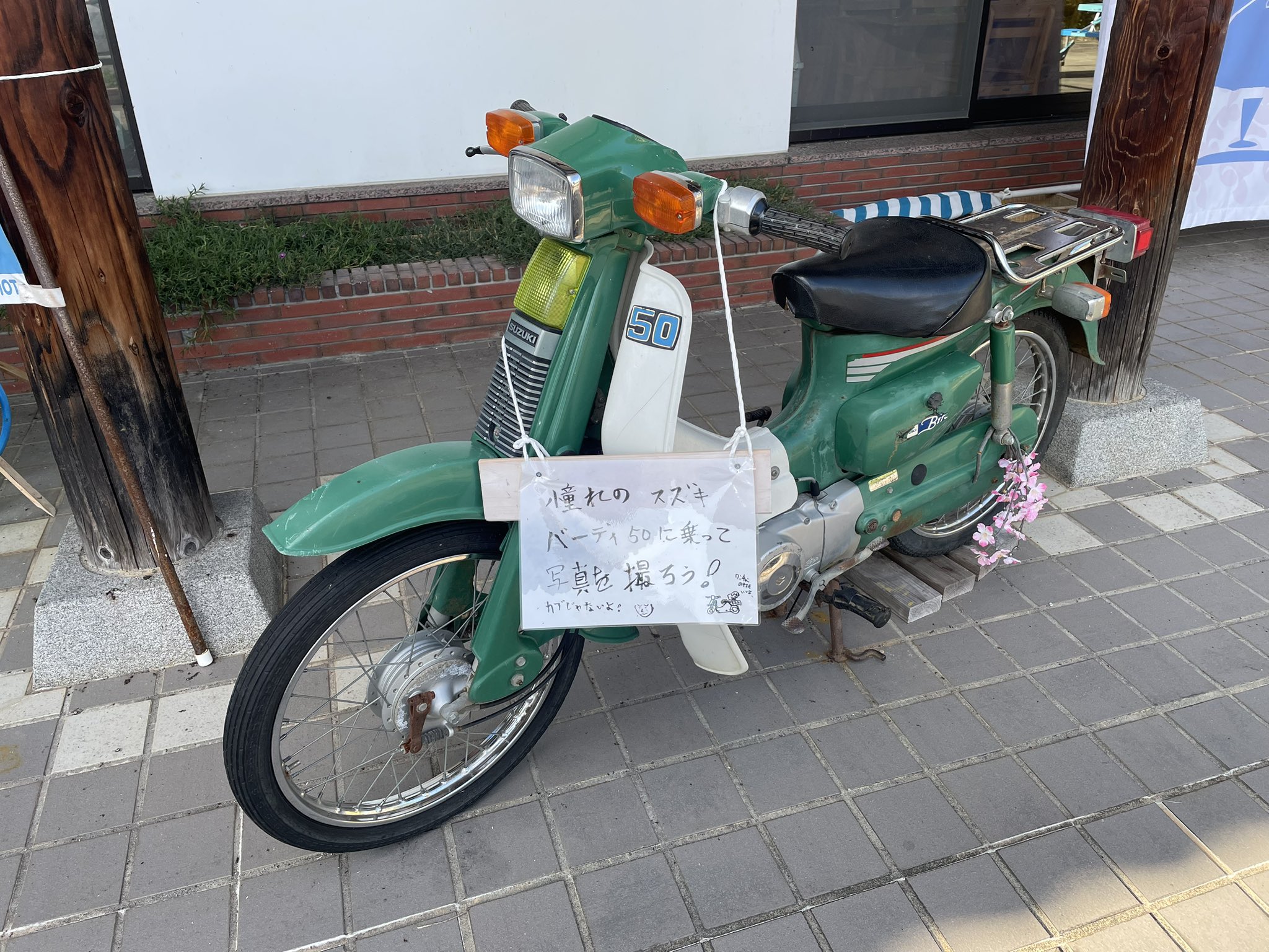 バーディ50 - Search / X