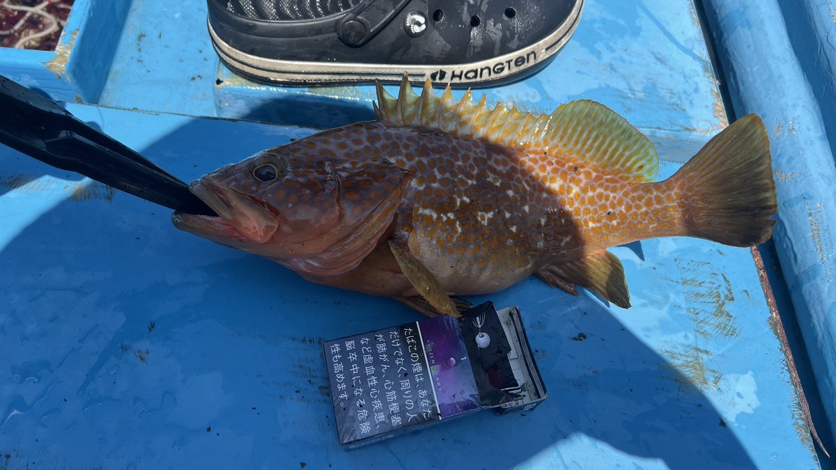 久しぶりの釣り
全然釣れんかったからまた明日リベンジ🔥