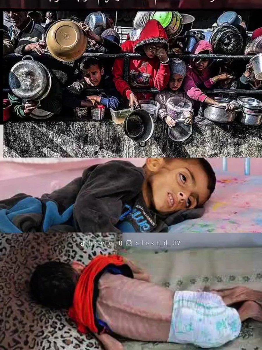 #غزه_تموت_جوعاً #غزة_تُباد