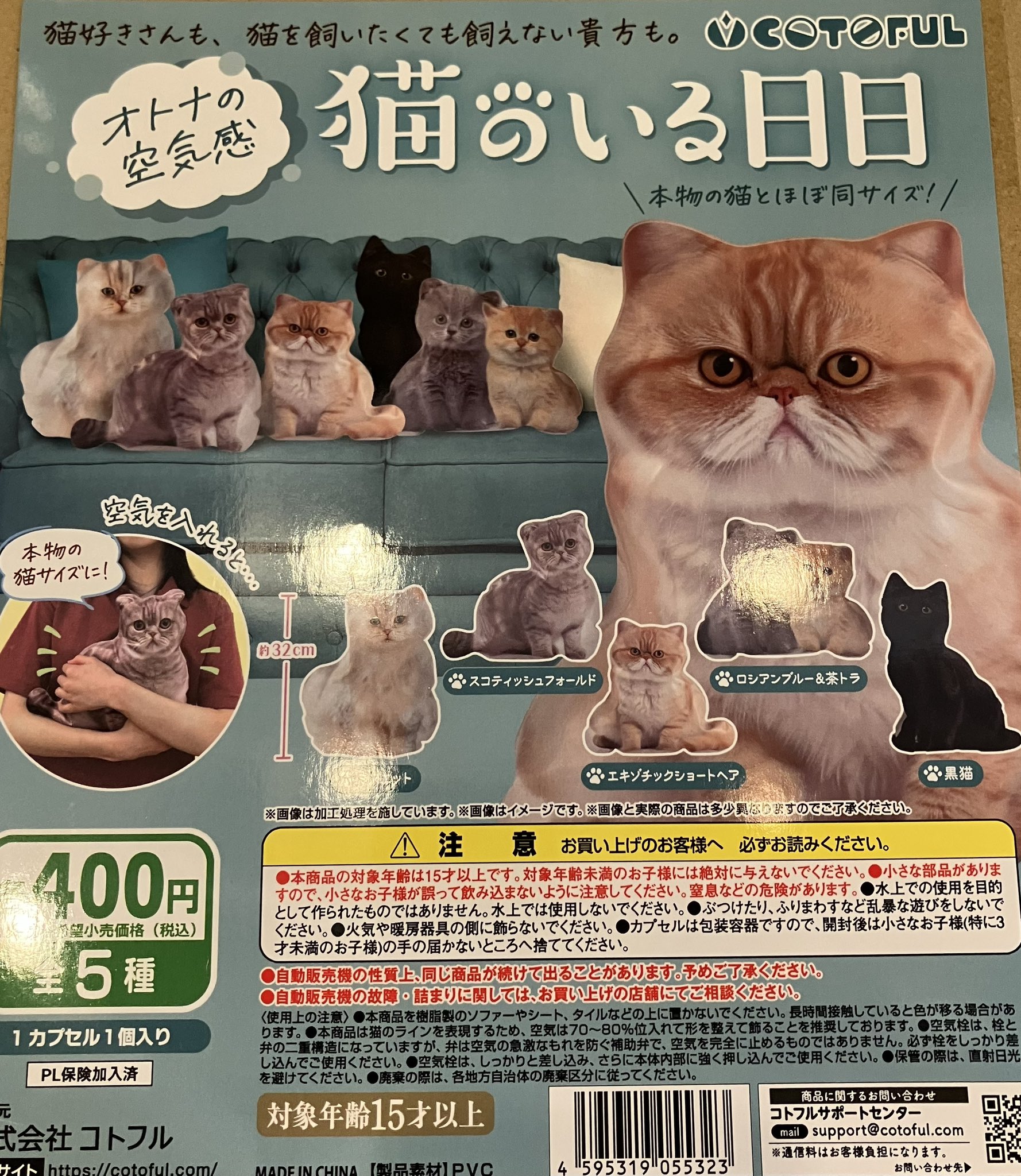 ねこのお店（仮）さま専用 猫のいる日日 - Search / X