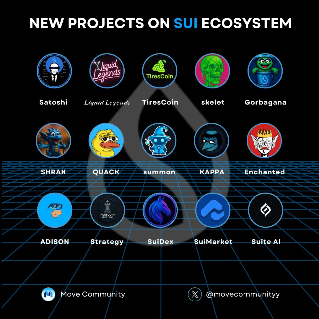 Sui Media💧 tweet media