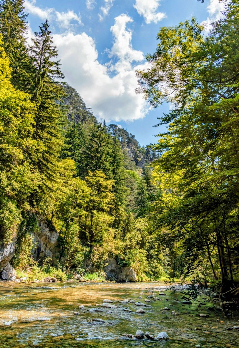 B🌹👋 tweet media