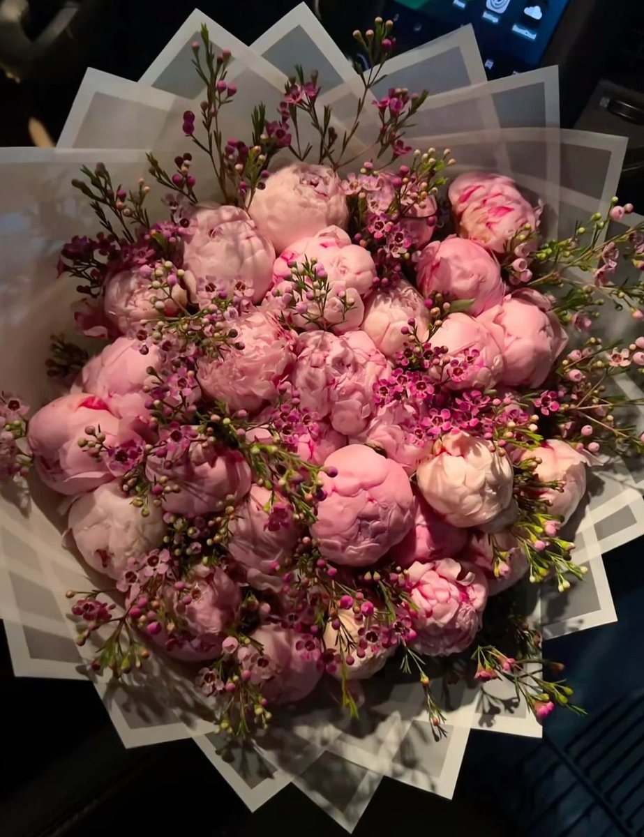 i3Moment's tweet photo. Peonies bouquet https://t.co/4ao4ncuC9W