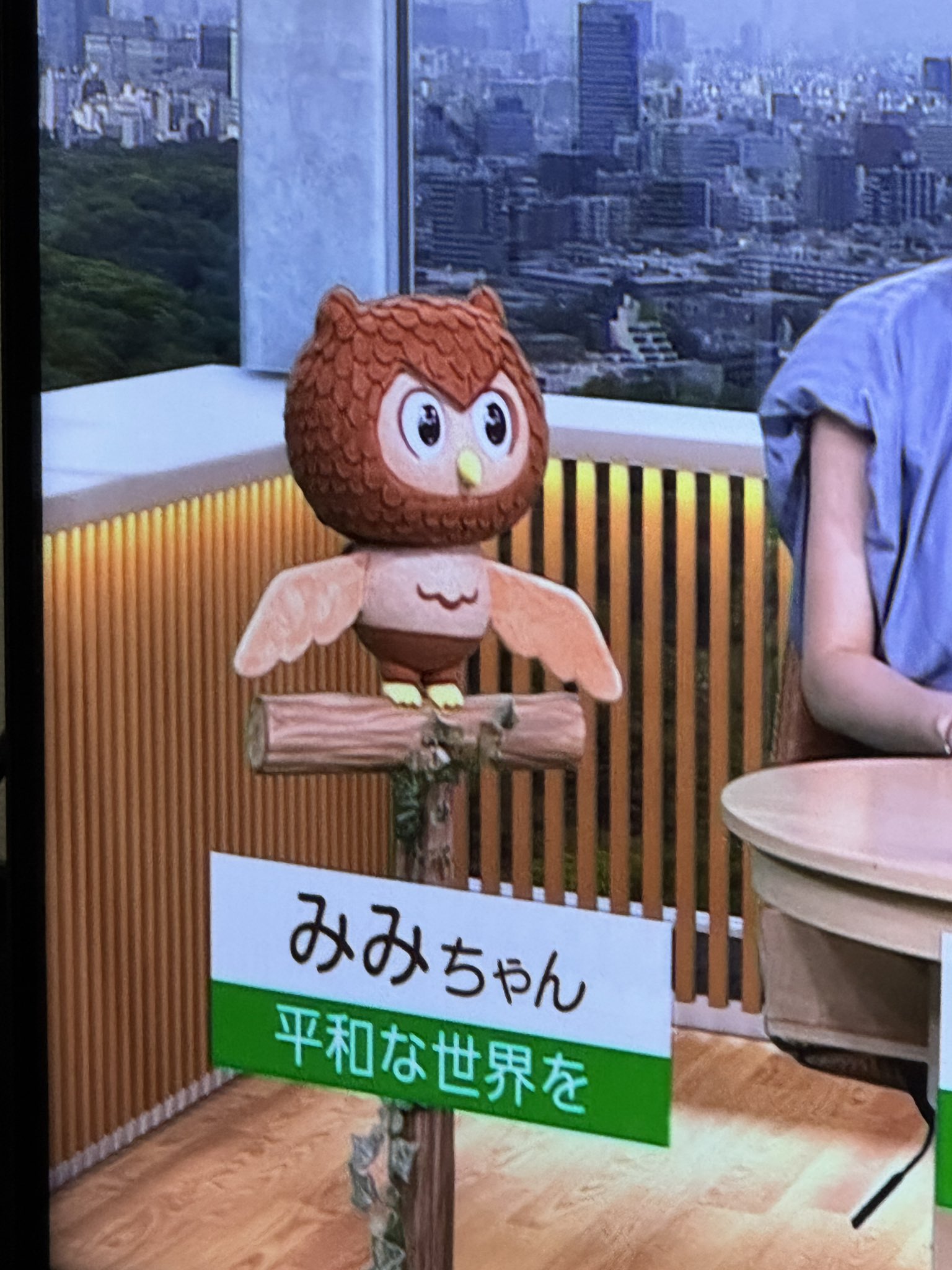 みみちゃんママ様さがびより白米4.8×2 Amazon.co.jp: 【5年産】玄米 2kg 佐賀白石 さがびより (5分