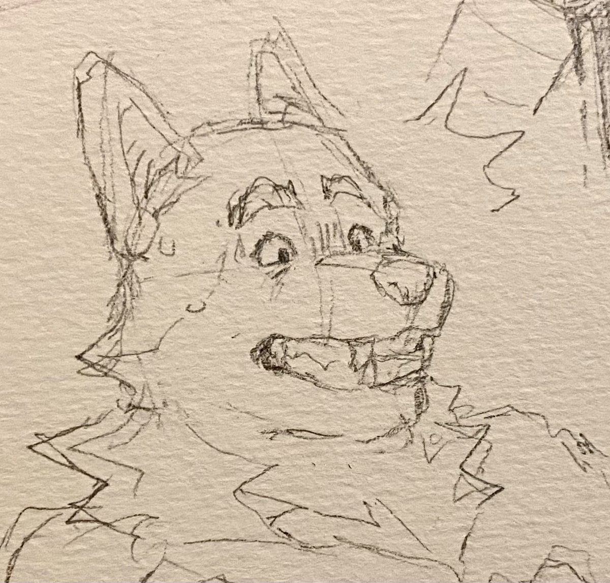 Muttson 🐊 (@drawing_gator) on Twitter photo 
