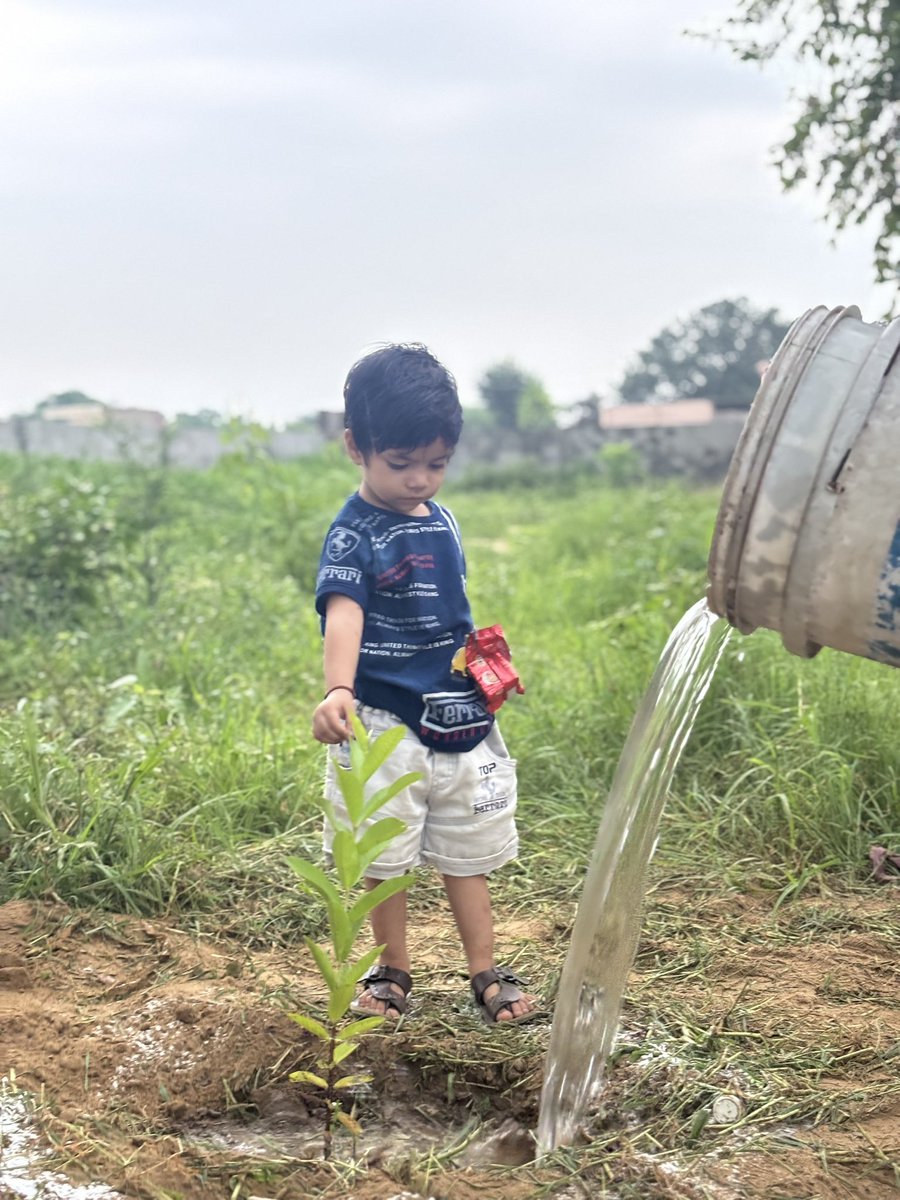 naman1130's tweet photo. On 15th Aug 1967, #SaintMSG -guiding light for millions.Every year,  #DeraSachaSauda celebrates by healing the Earth through tree plantation. Today, 14th Aug, 6 a.m., millions joined #MyGiftToMSG Under Saint MSG’s guidance, each sapling is a promise for a better world🌱
#GoGreen https://t.co/8AoxIhJbLM
