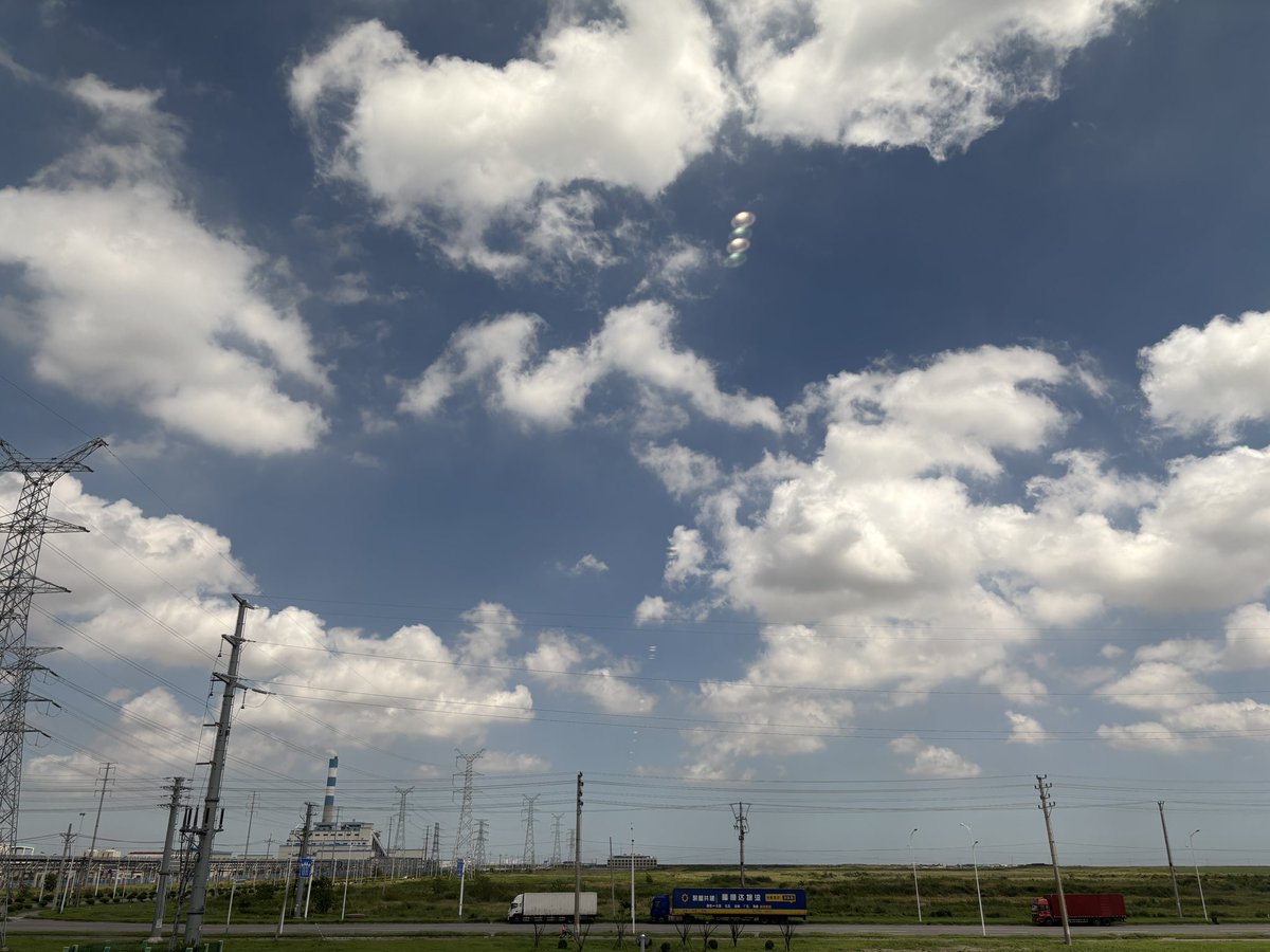 野生动物 (@btquanzhixian) on Twitter photo 