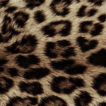 ㅤ
ೀ  ⎯⎯    #ℒoatwt       🐆
                        ㅤ                    como assumi o corpo
                                                ideal, usando a lei da
                                                 suposição | a 𝐭𝐡𝐫𝐞𝐚𝐝
ㅤ