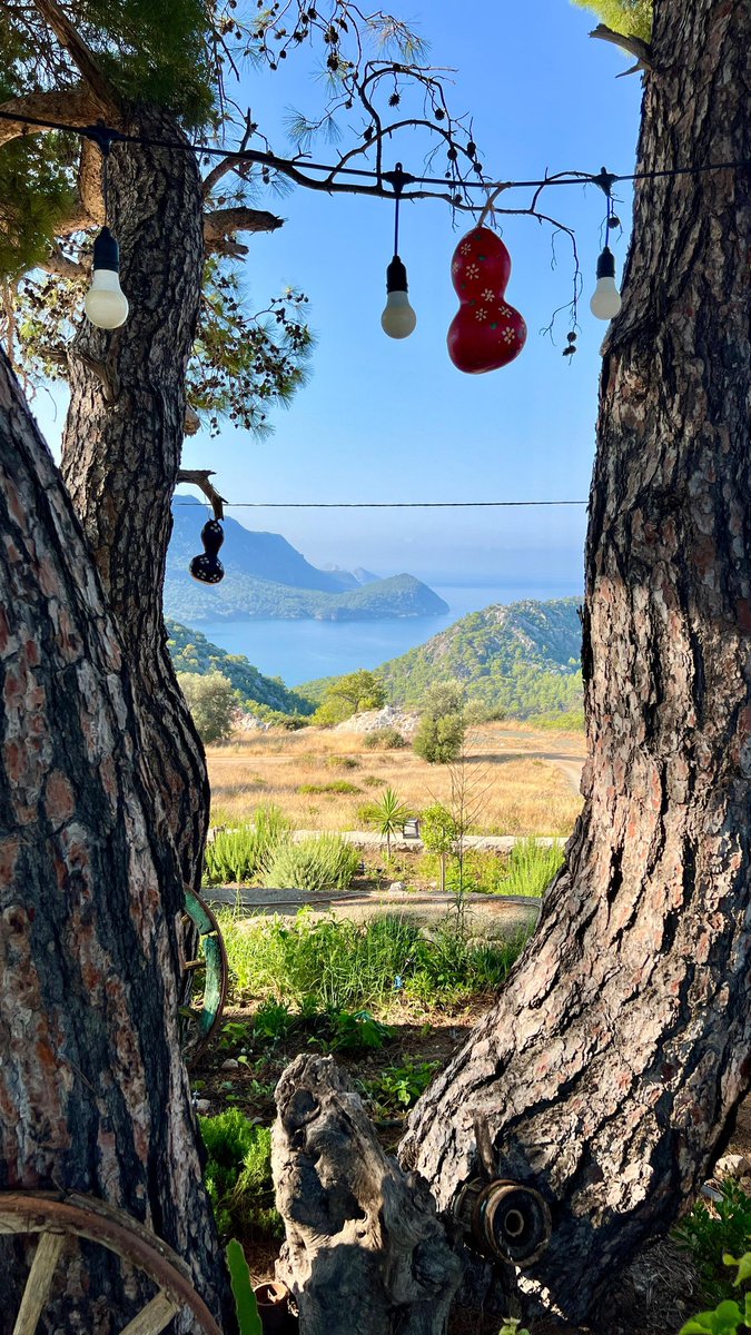 Günaydın can dostlarım yellitepeden selamlar