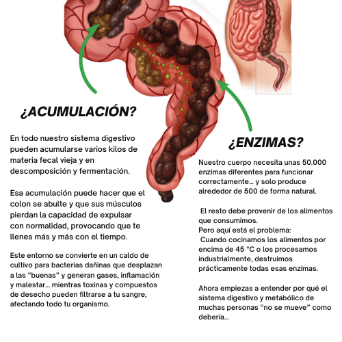 bionobo's tweet photo. La mayoría de las personas están llenas de 💩 —literalmente.

Es normal ir al baño hasta 4 veces al día. Si tú te quedas en una (o menos), es probable que tu sistema esté inflamado, lento y lleno de toxinas.

El estreñimiento ≠ normal. En la Medicina Tradicional China, el estancamiento es la raíz de la enfermedad.

Hagamos que tus intestinos fluyan como un río:
