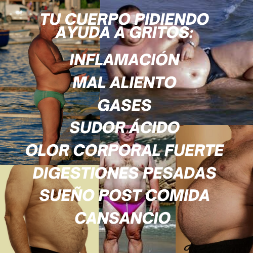 bionobo's tweet photo. La mayoría de las personas están llenas de 💩 —literalmente.

Es normal ir al baño hasta 4 veces al día. Si tú te quedas en una (o menos), es probable que tu sistema esté inflamado, lento y lleno de toxinas.

El estreñimiento ≠ normal. En la Medicina Tradicional China, el estancamiento es la raíz de la enfermedad.

Hagamos que tus intestinos fluyan como un río: