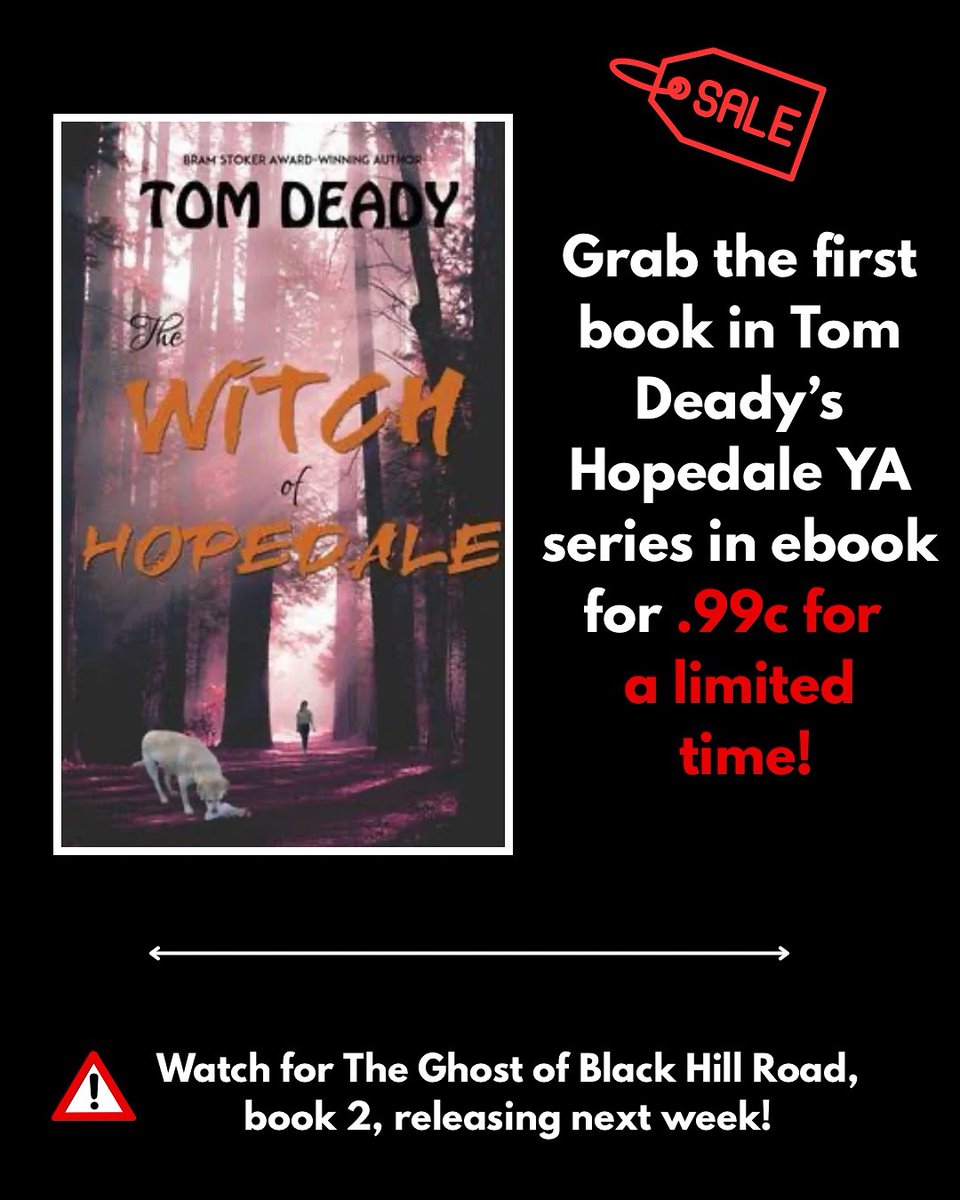ErinAlMehairi's tweet photo. Grab book 1 for a buck ahead of book 2 coming out next week! Young adult horror mystery series due to teen characters, but it can still be read by adults! 

Hopedale Series by Tom Deady. 

Zon: https://t.co/taxhmezTPy

#horror #YAhorror #kindlebooks https://t.co/Hccf66SOXp