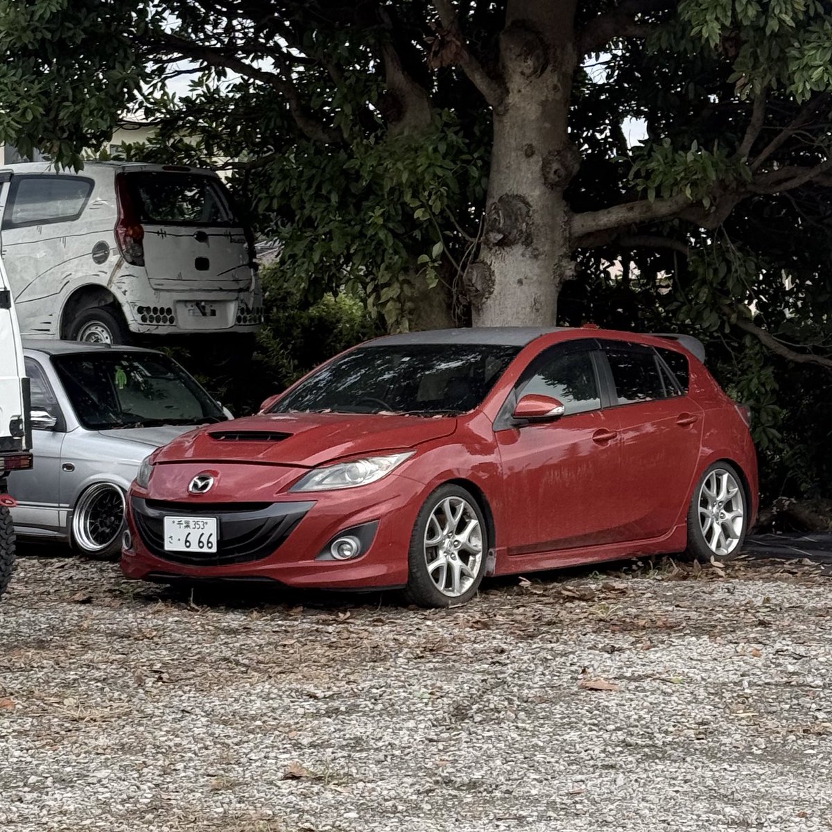 きゃんべ tweet media